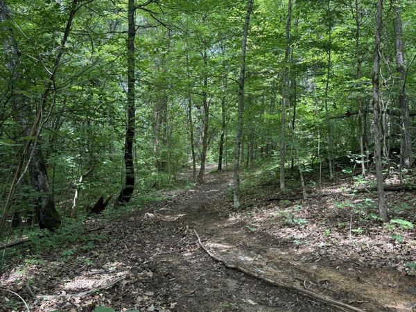 0 Thorngrove Pike, Knoxville, TN 37914