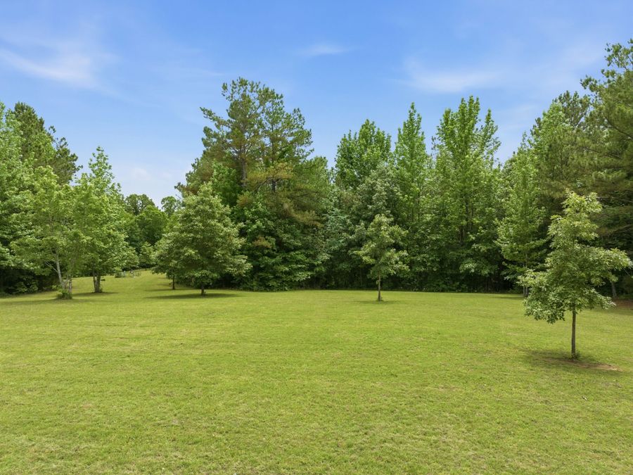 Property Image 54
