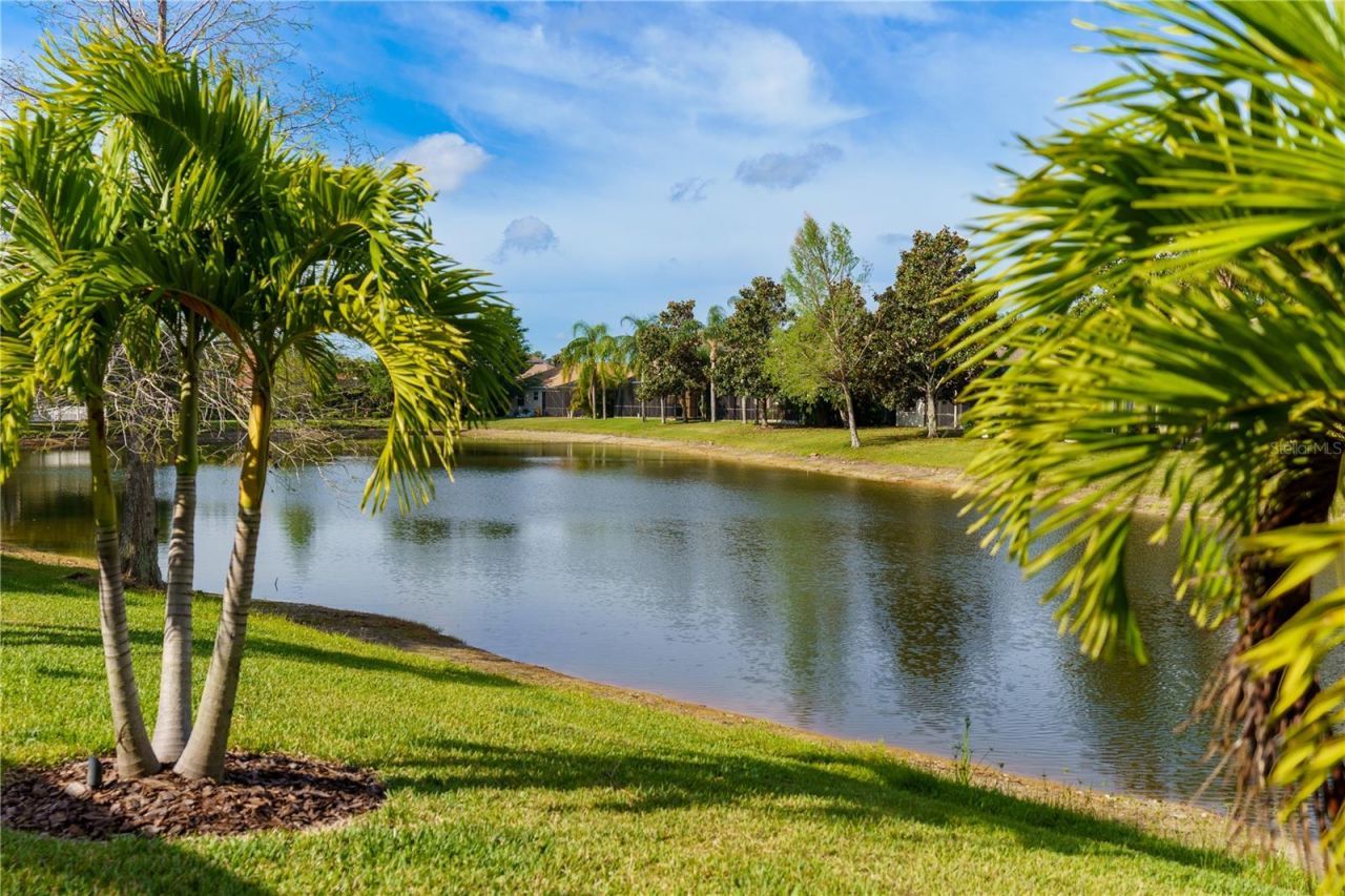 14717 Bowfin Terrace, Bradenton, FL 34202 Photo