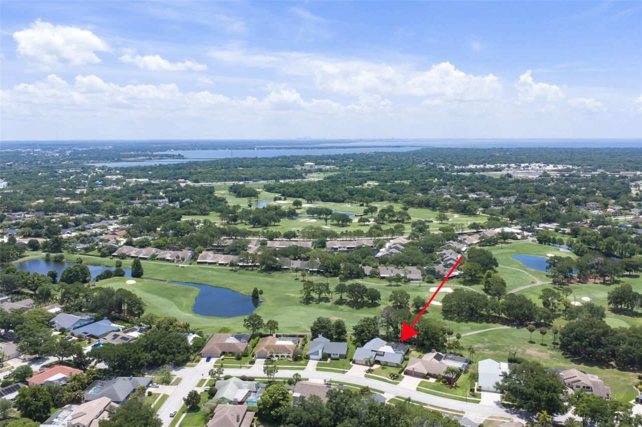 3119 Hyde Park Drive, Clearwater, FL 33761 Photo