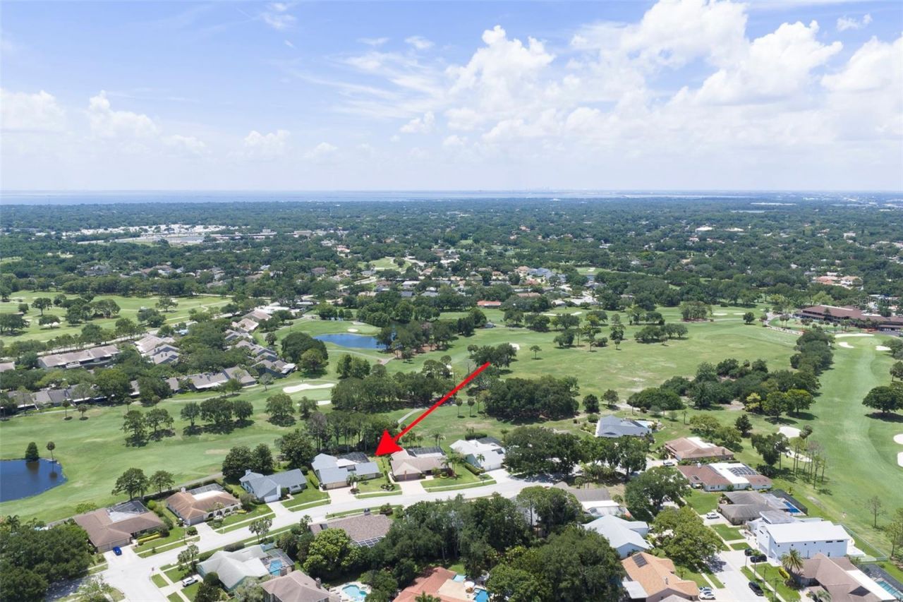 3119 Hyde Park Drive, Clearwater, FL 33761 Photo