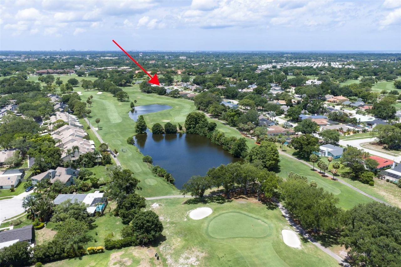 3119 Hyde Park Drive, Clearwater, FL 33761 Photo