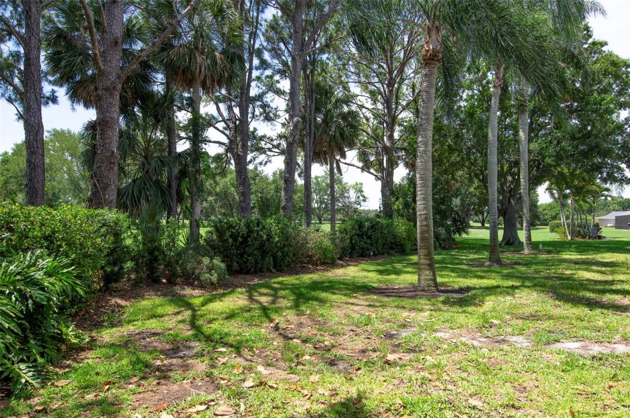 3119 Hyde Park Drive, Clearwater, FL 33761 Photo