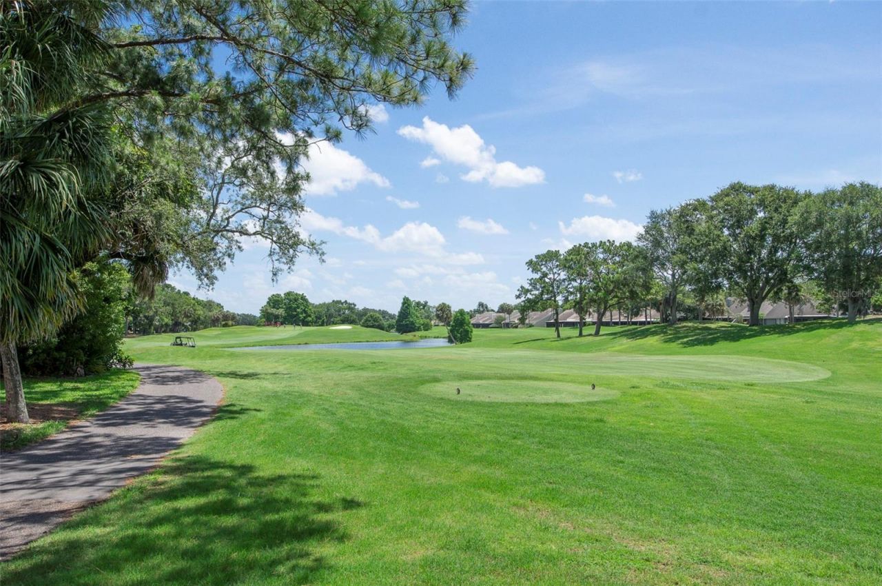 3119 Hyde Park Drive, Clearwater, FL 33761 Photo