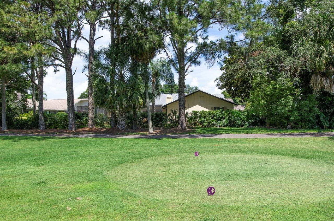 3119 Hyde Park Drive, Clearwater, FL 33761 Photo