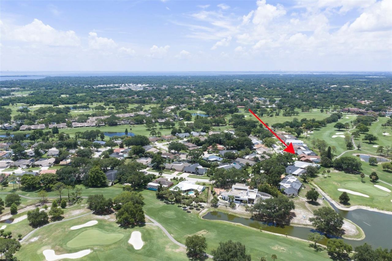 3119 Hyde Park Drive, Clearwater, FL 33761 Photo