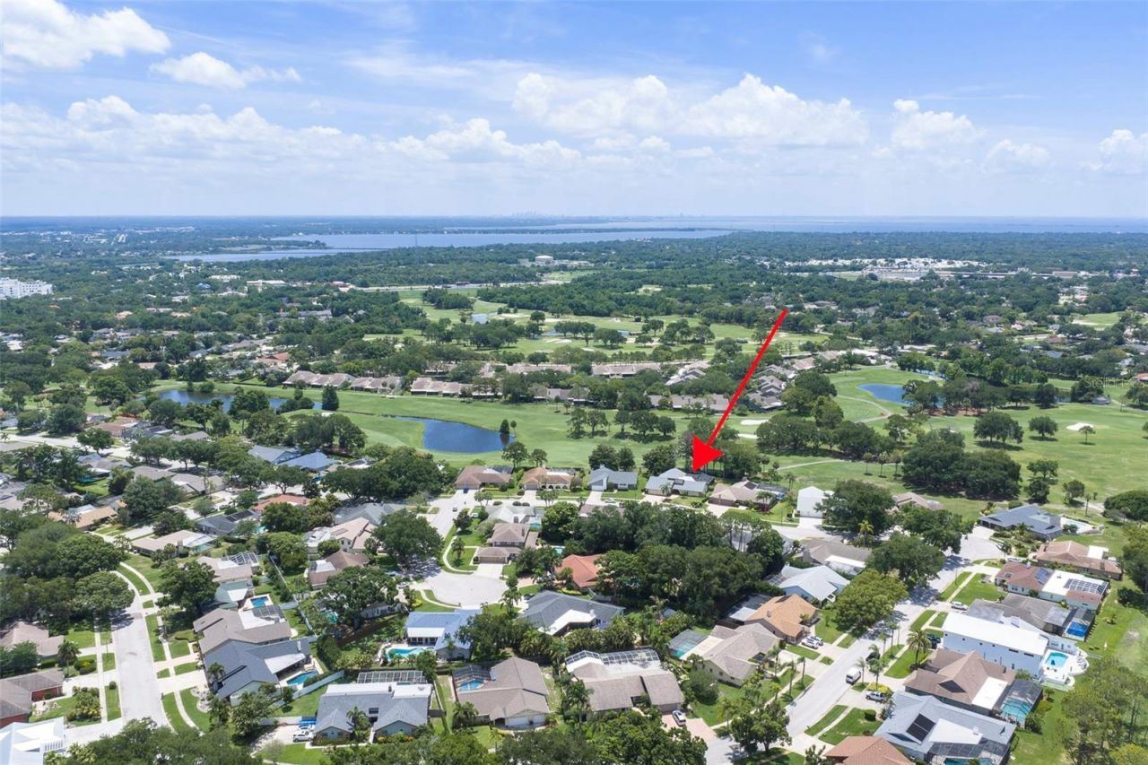 3119 Hyde Park Drive, Clearwater, FL 33761 Photo