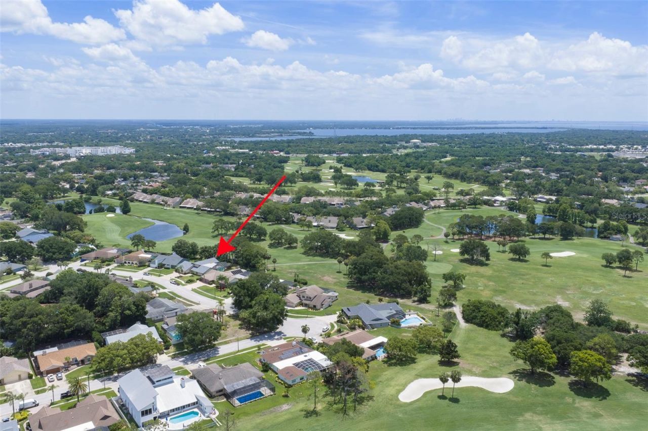 3119 Hyde Park Drive, Clearwater, FL 33761 Photo