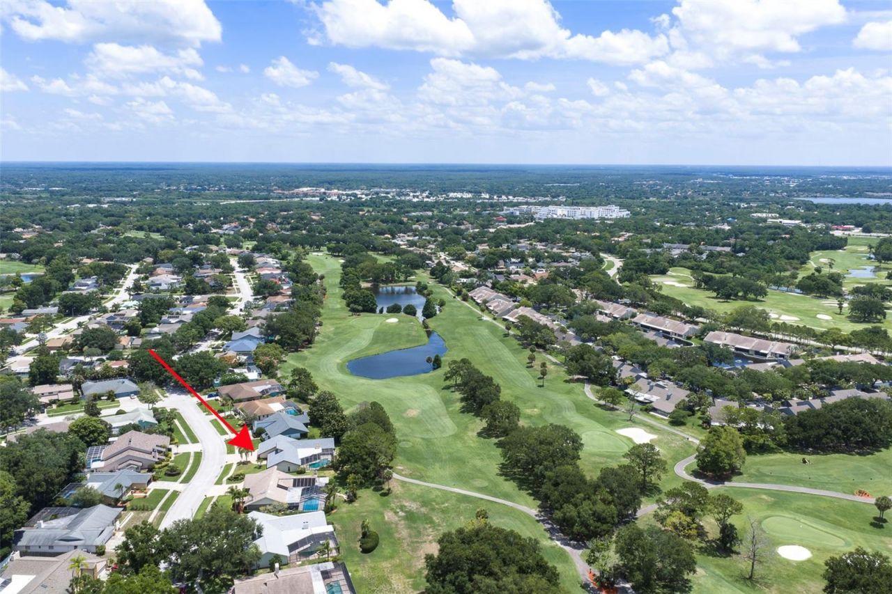 3119 Hyde Park Drive, Clearwater, FL 33761 Photo