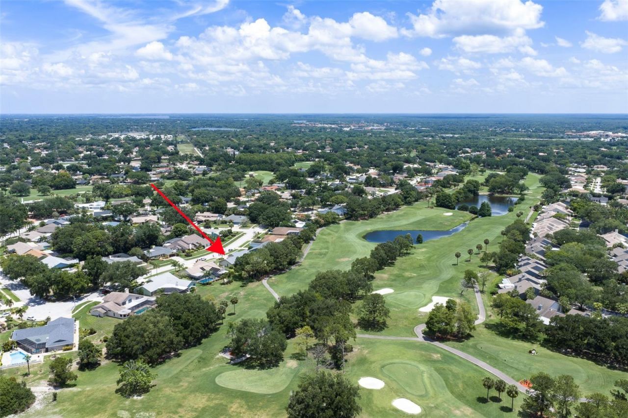 3119 Hyde Park Drive, Clearwater, FL 33761 Photo