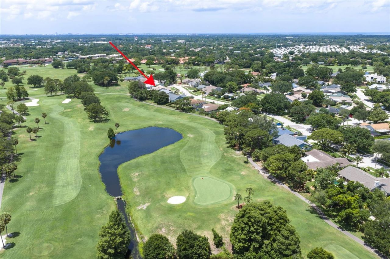 3119 Hyde Park Drive, Clearwater, FL 33761 Photo