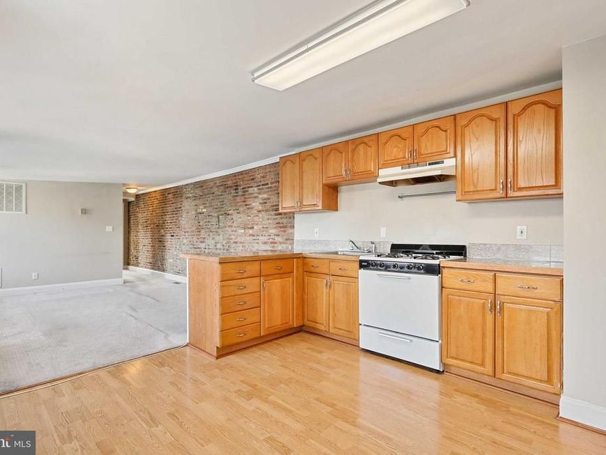 249 S Chester Street, Unit 3, Baltimore, MD 21231 Main Photo