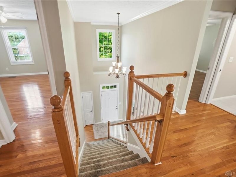 2941 Dutton Court, Washington Township, OH 45458 Photo 33