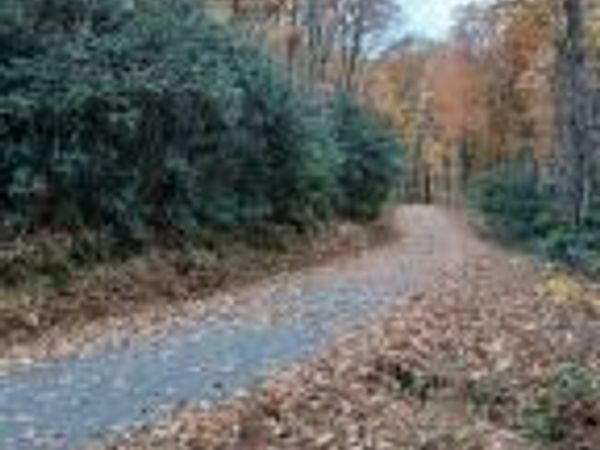 Lot 3 Rocky Ridge Road, Cosby, TN 37722