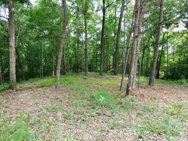 LOT 77 BROKEN ARROW, Jasper, AL 35504
