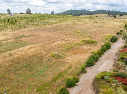 22001 Shenandoah School Rd, Plymouth, CA 95669 Photo