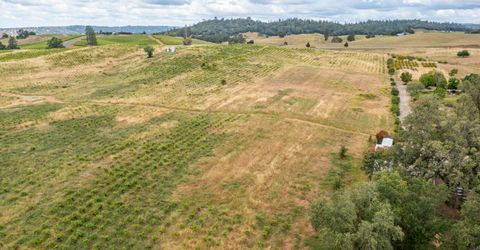 22001 Shenandoah School Rd, Plymouth, CA 95669 Photo