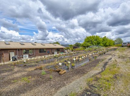 22001 Shenandoah School Rd, Plymouth, CA 95669 Photo