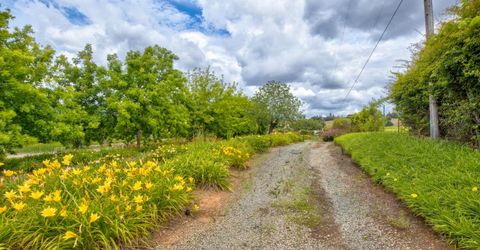 22001 Shenandoah School Rd, Plymouth, CA 95669 Photo