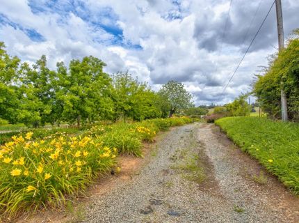 22001 Shenandoah School Rd, Plymouth, CA 95669 Photo