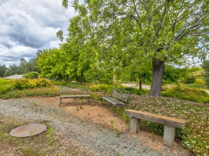 22001 Shenandoah School Rd, Plymouth, CA 95669 Photo