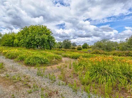 22001 Shenandoah School Rd, Plymouth, CA 95669 Photo