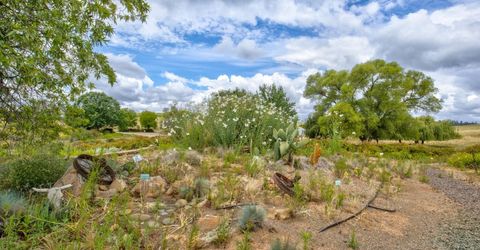 22001 Shenandoah School Rd, Plymouth, CA 95669 Photo