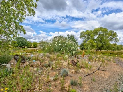 22001 Shenandoah School Rd, Plymouth, CA 95669 Photo