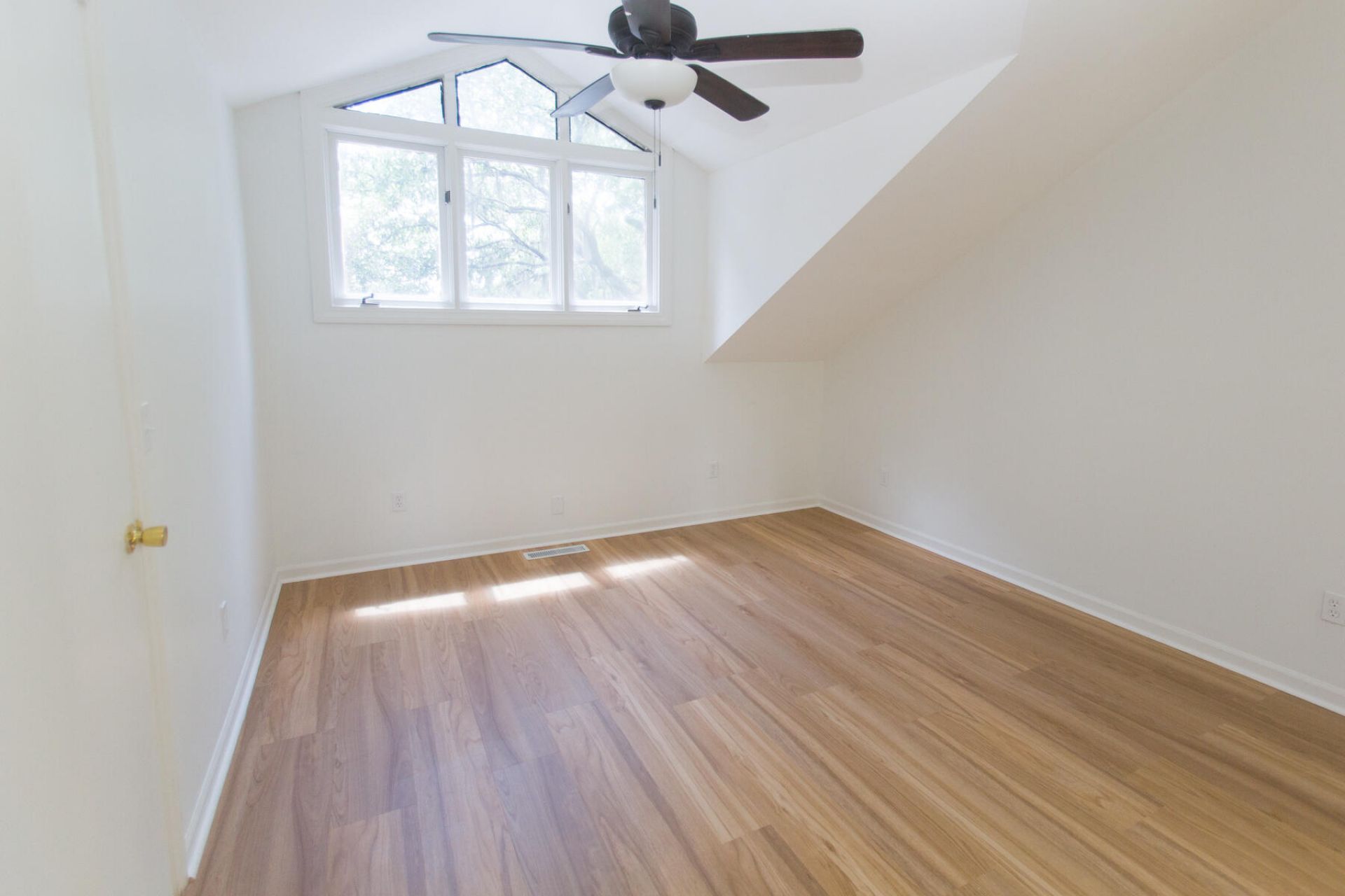 4433 Great Oak Drive Photo 24