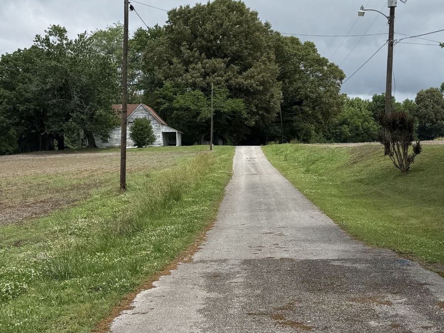 Property Image 21