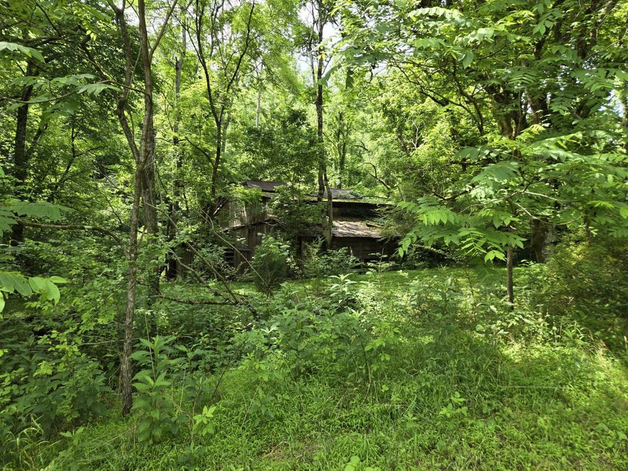 Property Image 38