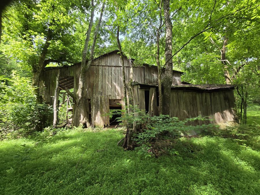 Property Image 53
