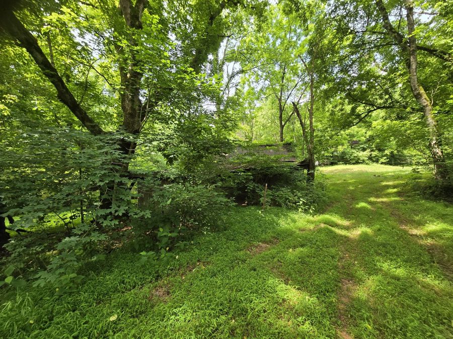 Property Image 54