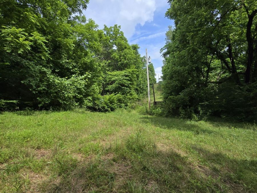 Property Image 58