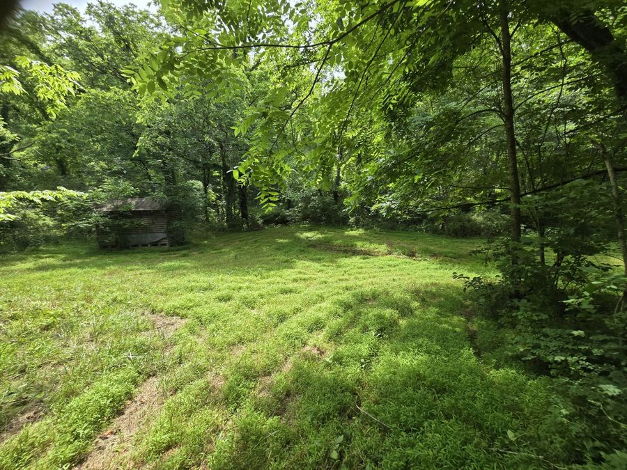 Property Image 62