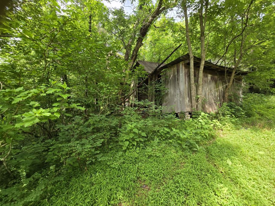 Property Image 63