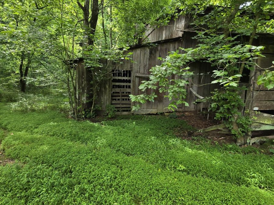Property Image 64
