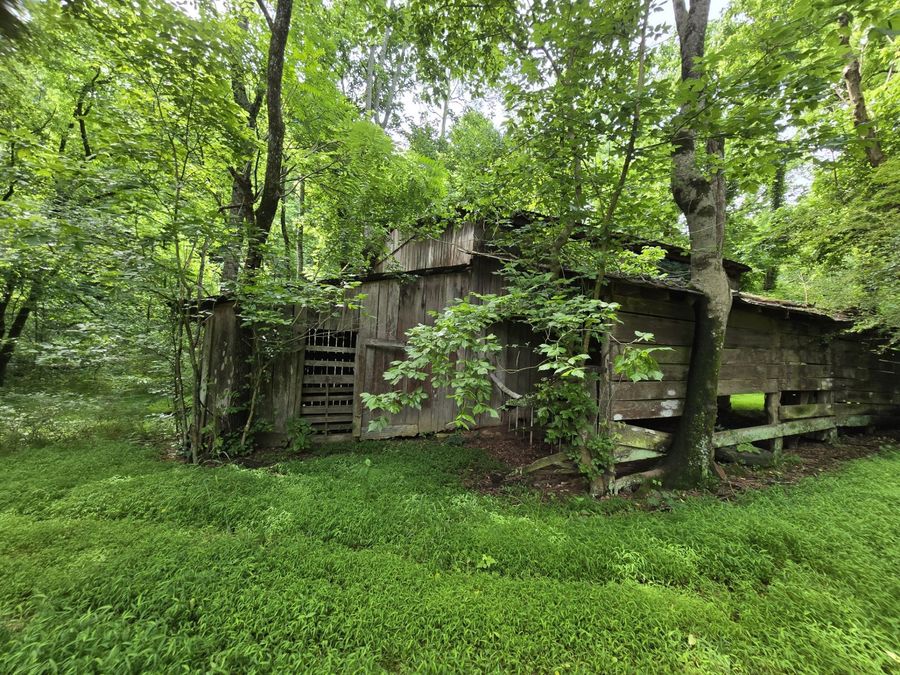 Property Image 65