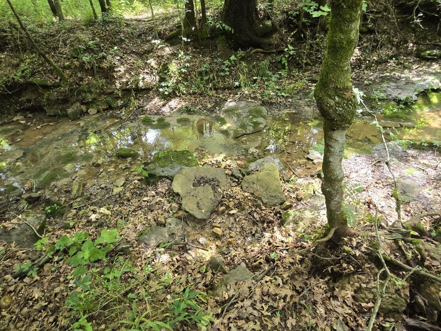 Property Image 66