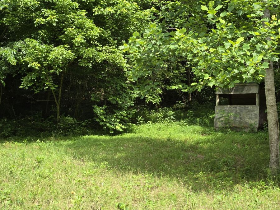 Property Image 73