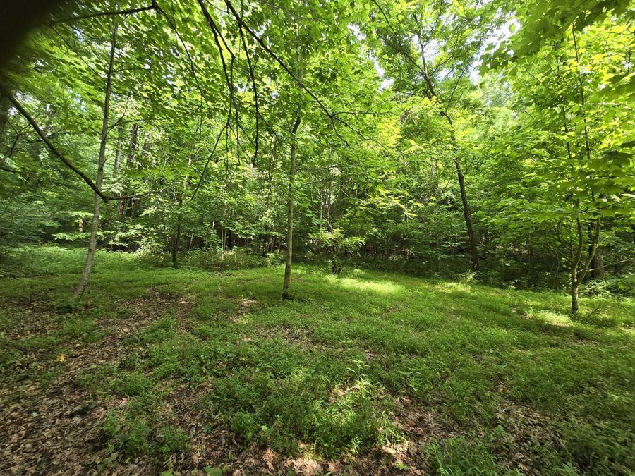 Property Image 75