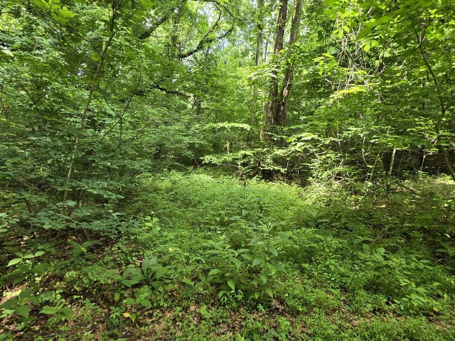 Property Image 76