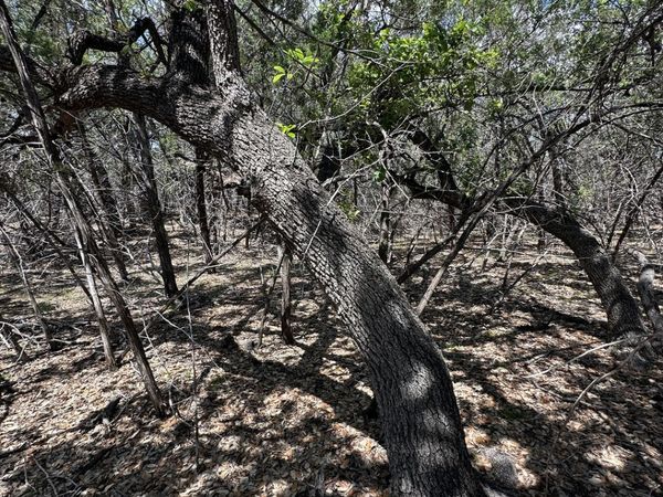 TBD N Oak Lawn Dr, Bandera, TX 78003