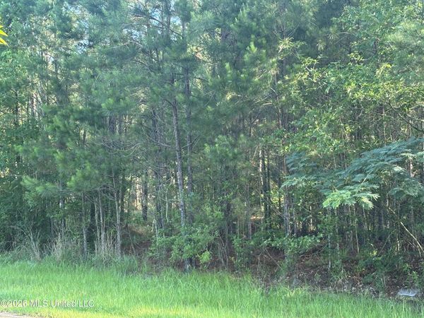 0 Shelby Road, Hermanville, MS 39086