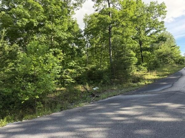 196 Big Bluff View, Pikeville, TN 37367