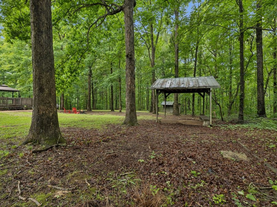 Property Image 62