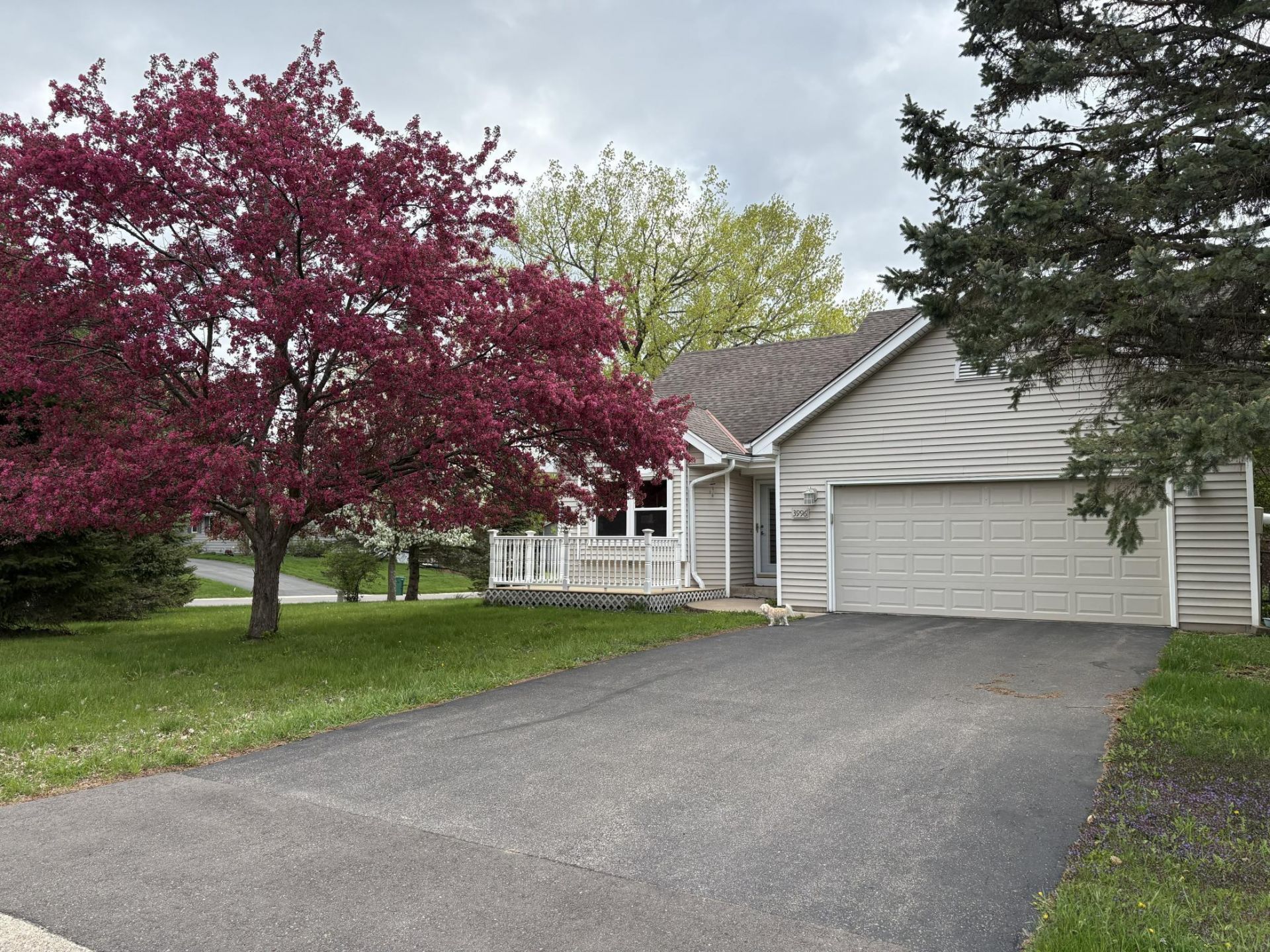 3996 Woodview Drive, Vadnais Heights, MN 55127 Main Photo