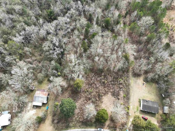 1041 Freedom Rd, Century, FL 32535