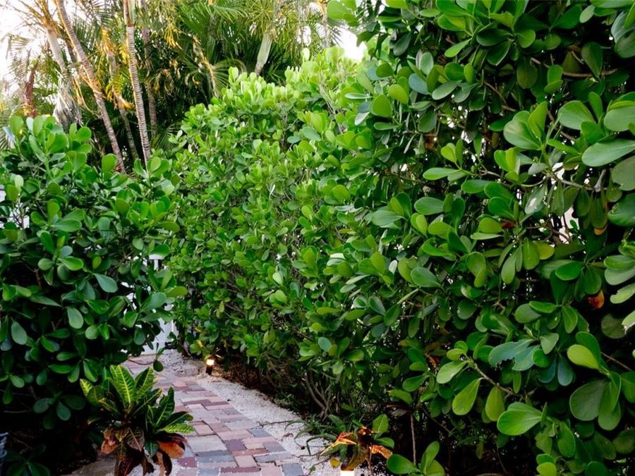 Property Image 57