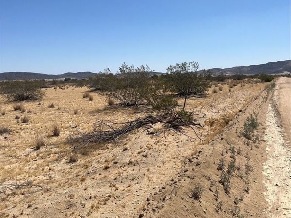 0 Division, Joshua Tree, CA 92252